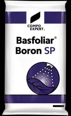COMPO Basfoliar Boron