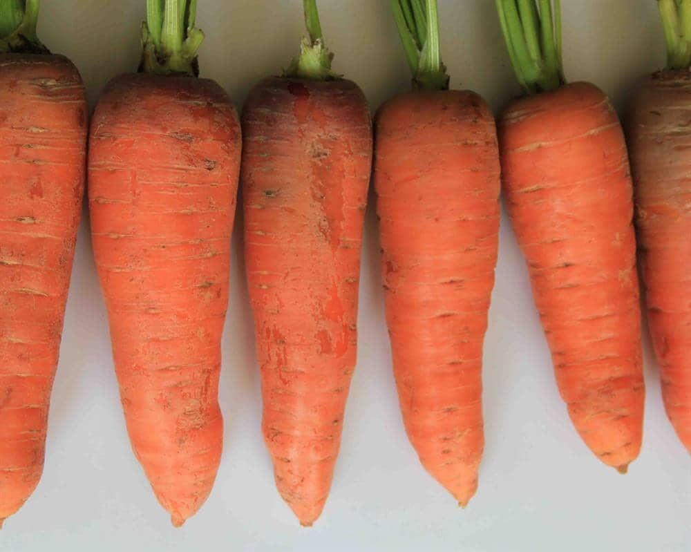 Tangerina F1